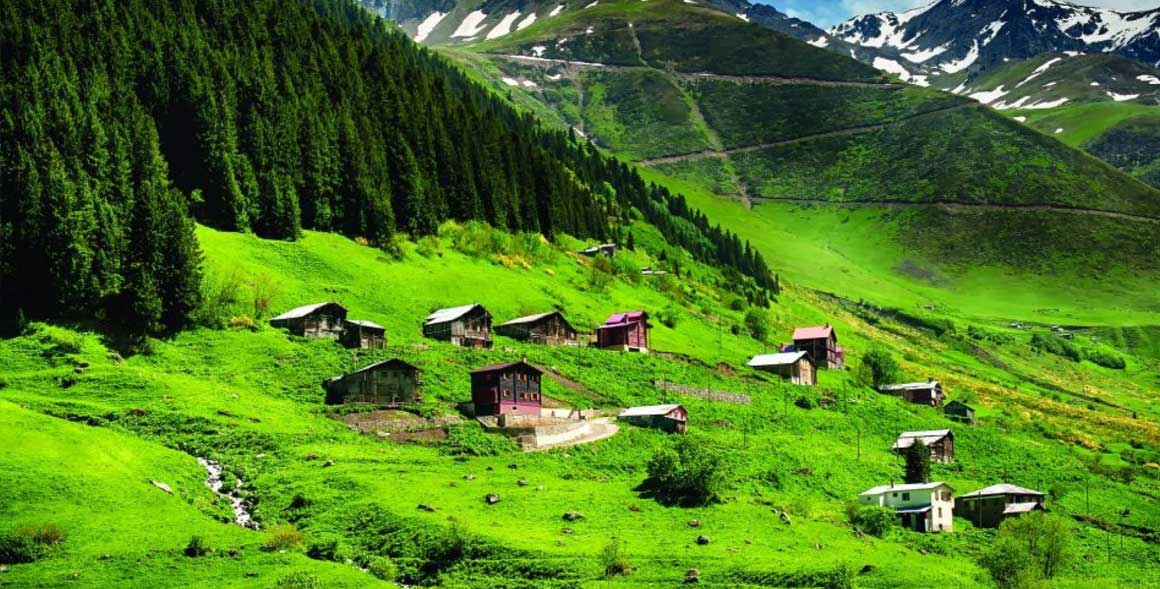 Karadenizde Bungalov Tatili: Doayla Ba Baa Unutulmaz Bir Deneyim