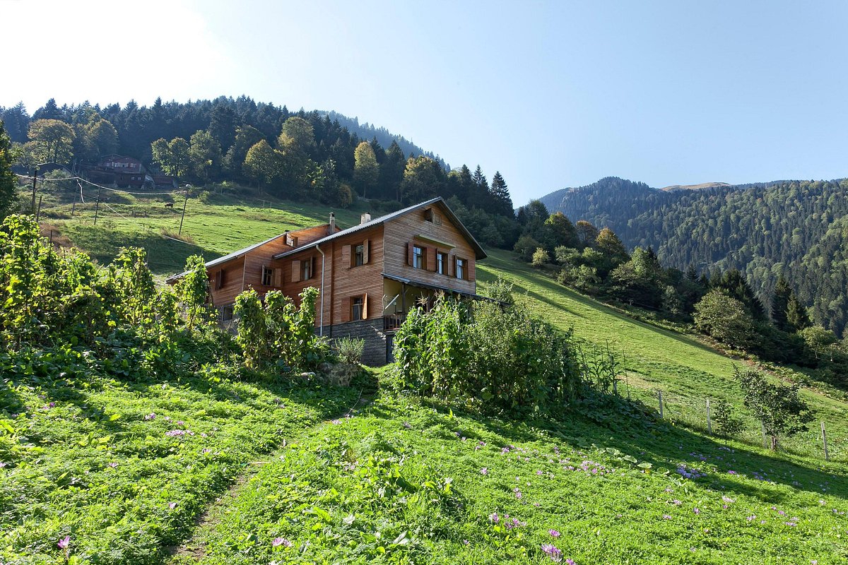 Karadenizde Bungalov