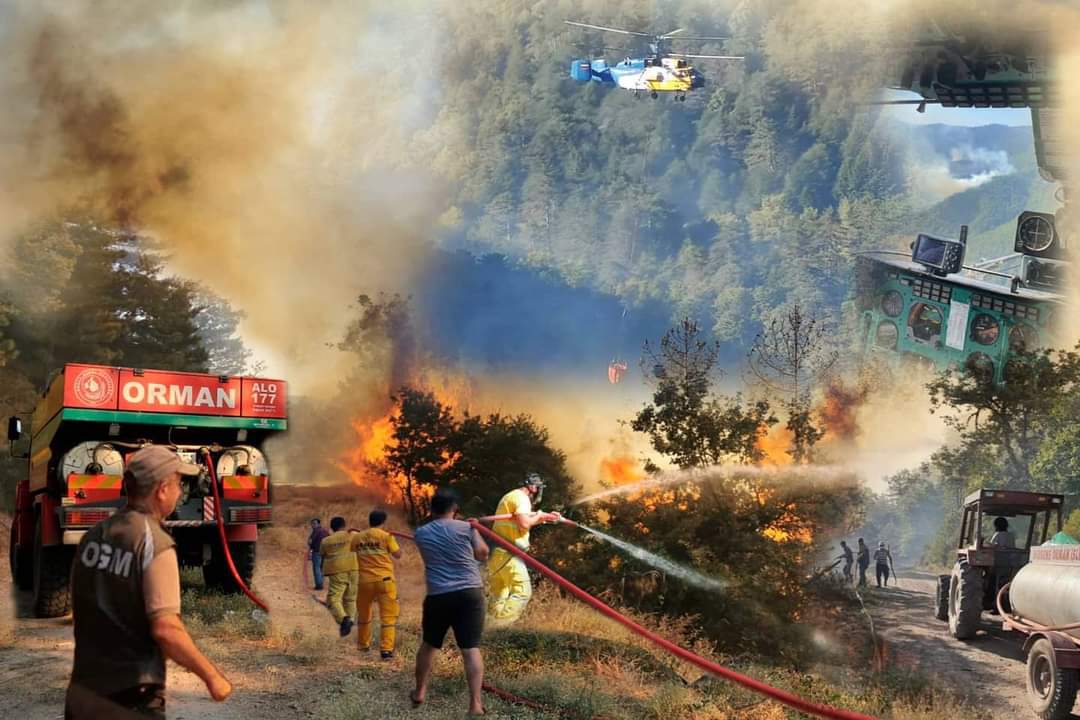 Orman Benim Kampanyası