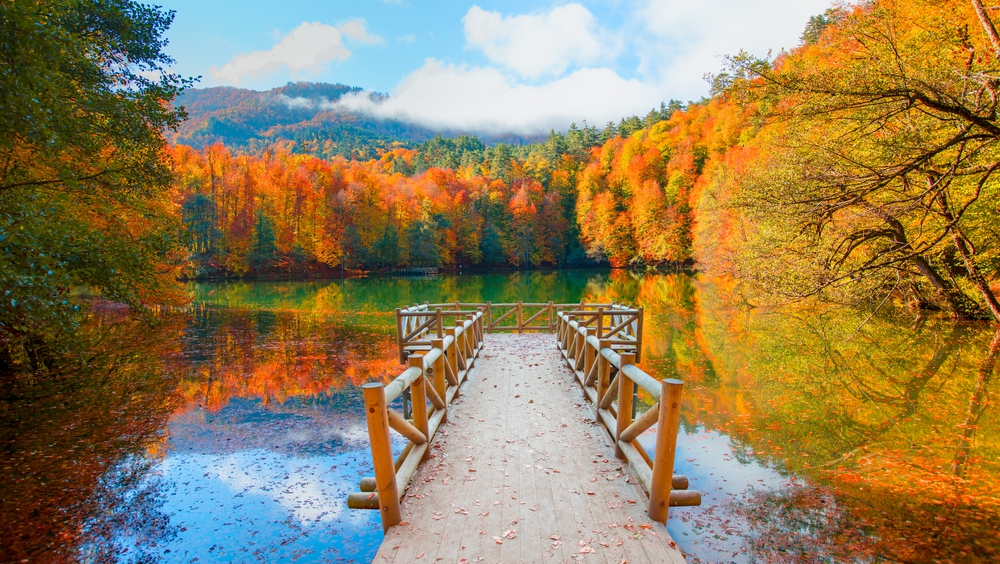 Karadenizde Bungalov Tatili çin En Uygun Mevsim | Mevsimsel Rehber