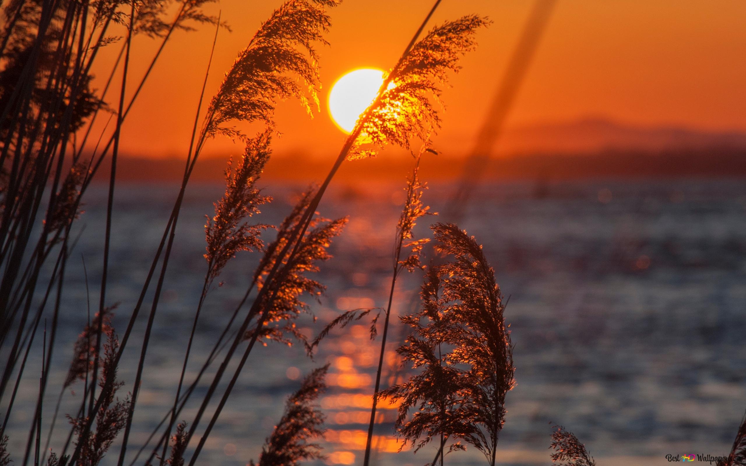 Ege Tatilinde Unutulmaz Anlar: Gün Batımı Noktaları Rehberi